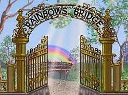 Rainbow Bridge Poem